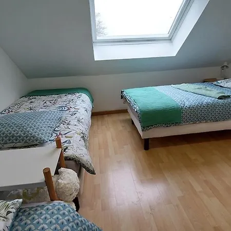 Avec Animaux Et Salle De Jeux *