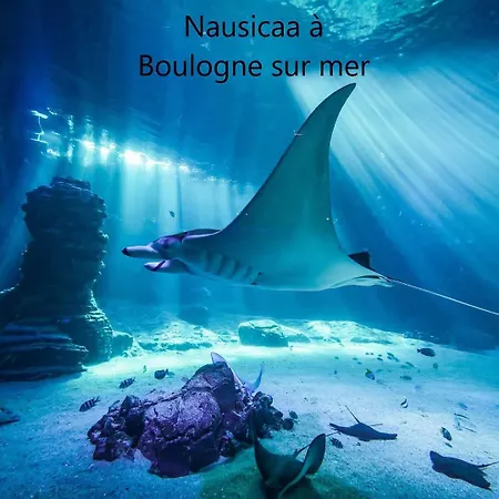 Avec Animaux Et Salle De Jeux * Nabringhen
