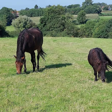 Avec Animaux Et Salle De Jeux * Nabringhen
